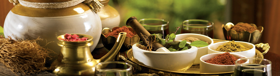 ayurveda banner2